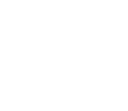 Car brand